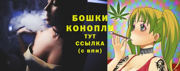Альфа ПВП Богданович