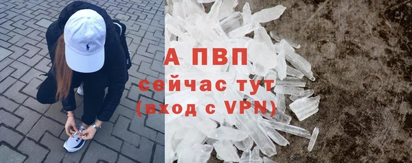 ГАЛЛЮЦИНОГЕННЫЕ ГРИБЫ Белоозёрский
