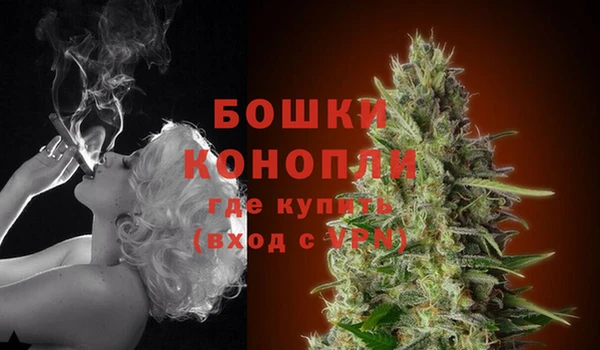 ГАЛЛЮЦИНОГЕННЫЕ ГРИБЫ Белоозёрский