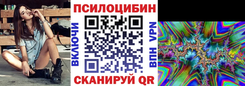 где купить наркотик  blacksprut ТОР  Псилоцибиновые грибы MAGIC MUSHROOMS  Мещовск 